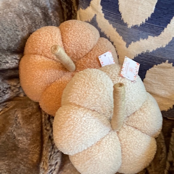 NEW! Fall Harvest FARMHOUSE Cottage Sherpa Peach & Cream Autumn Pumpkin Pillow - Picture 8 of 11